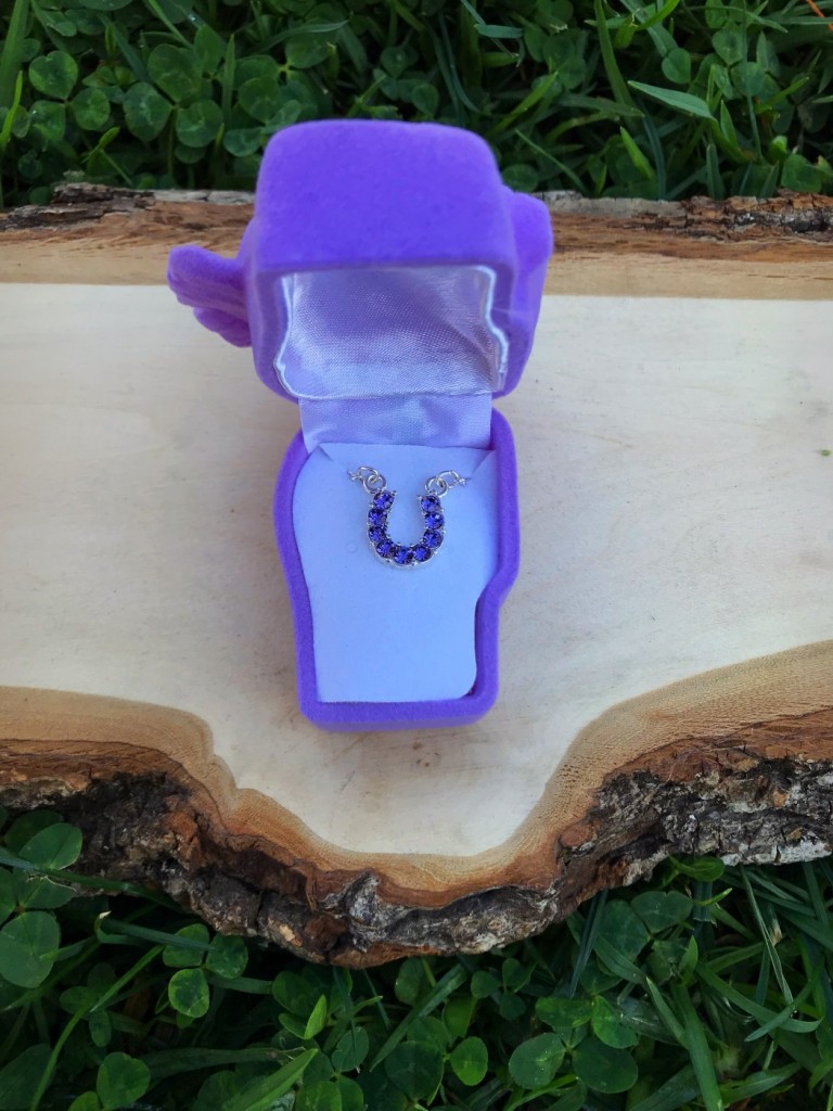 Girls Jewelry – Rhinestone Horseshoe Necklace With Horse Head Gift Box ( Purple )