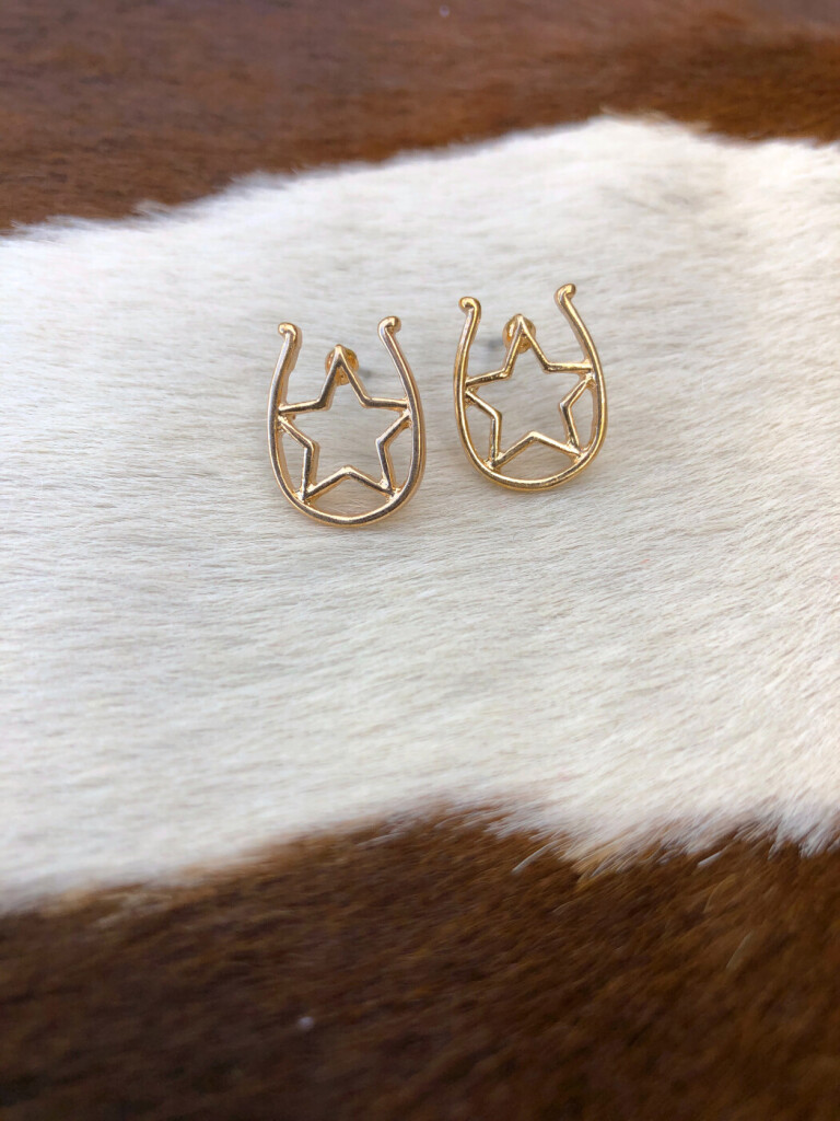 Western Horseshoe & Star Stud Earrings ( Gold )