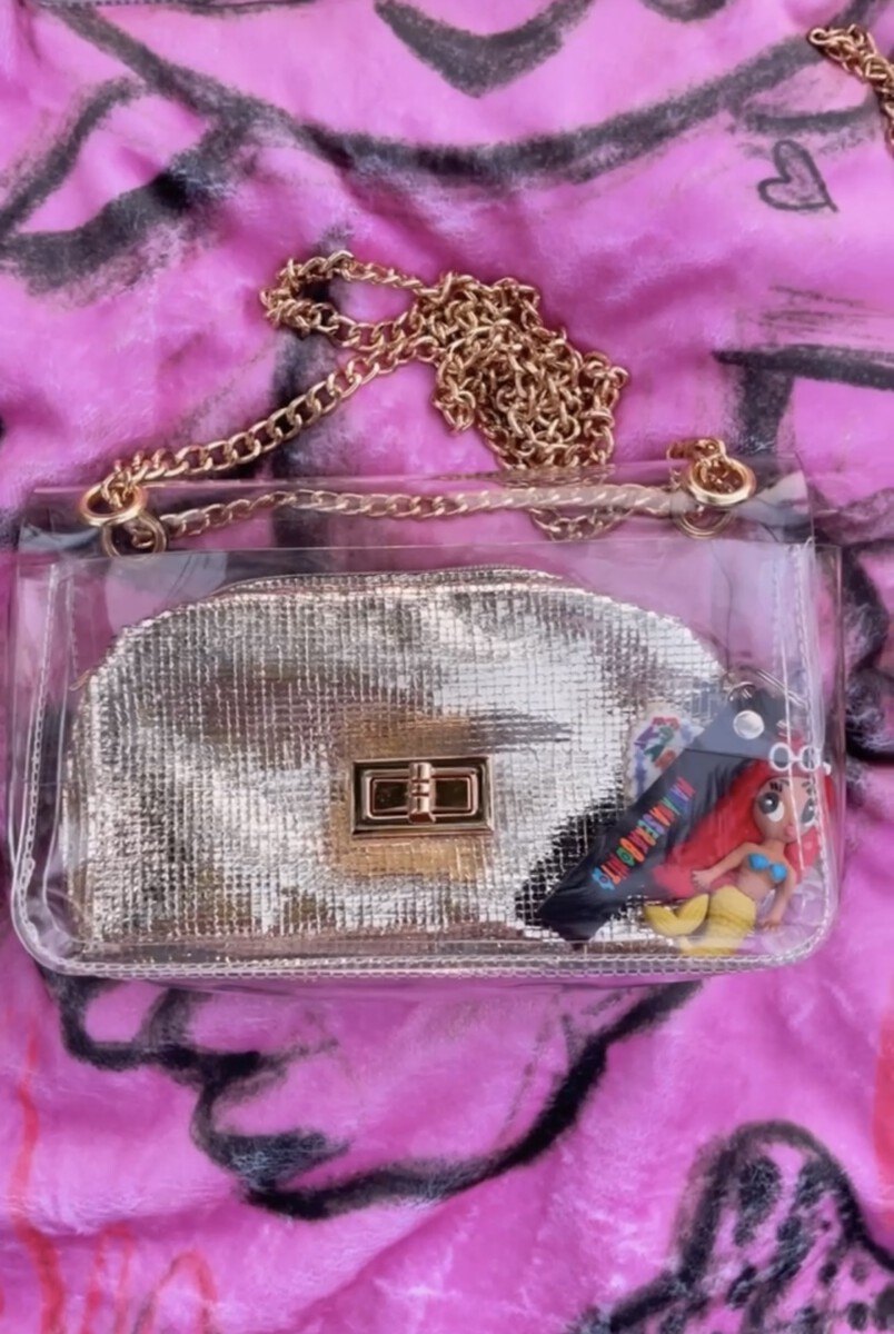 Clear Crossbody Purse Bag Clear Bags Stadium Approved for Concerts  Festivals Sports Events for Women Men - Walmart.com